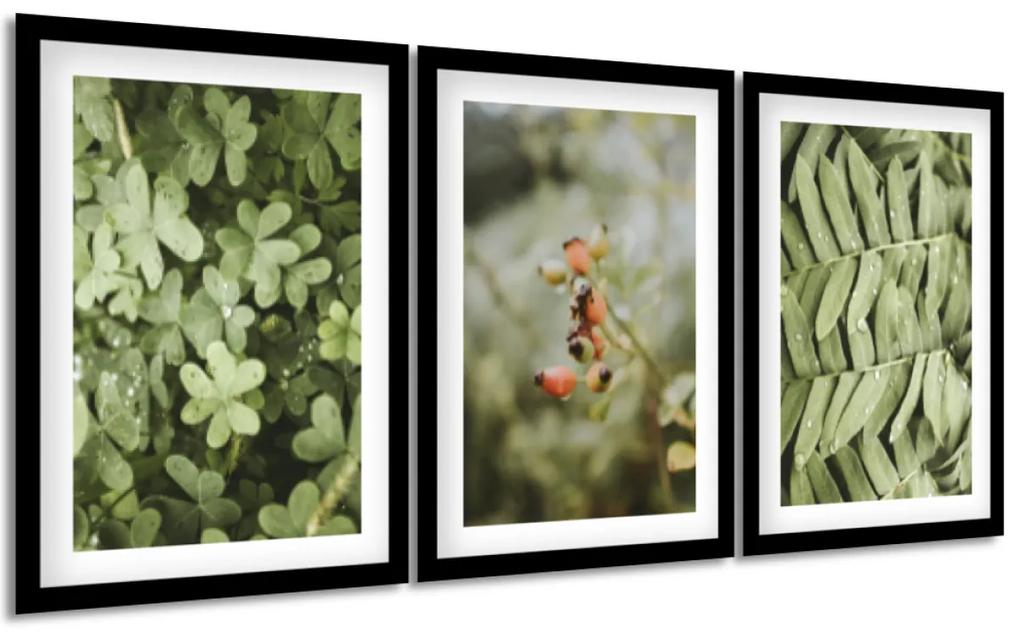 Gario Sada plagátov Listy a rosa - 3 dielna Farba rámu: Čierna, Veľkosť: 99  x 45 cm | BIANO