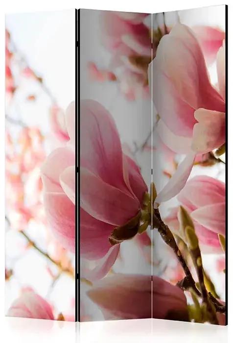 Paraván - Pink magnolia [Room Dividers] Veľkosť: 135x172, Verzia: Akustický