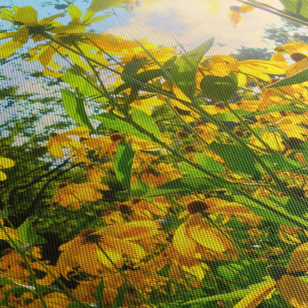 Obraz žltých kvetov (90x60 cm)