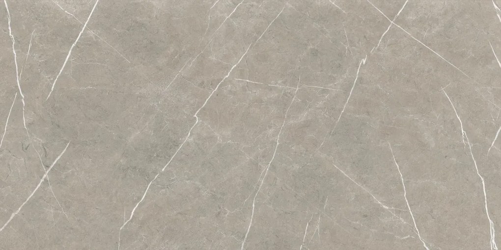 Dlažba Eternal Taupe Natural 80x160 R