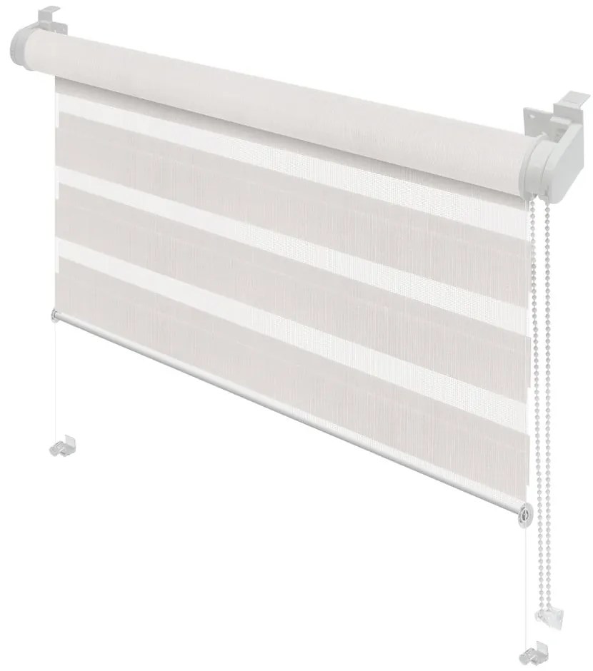 Biela roleta deň a noc 68x215 cm Zebra – Gardinia