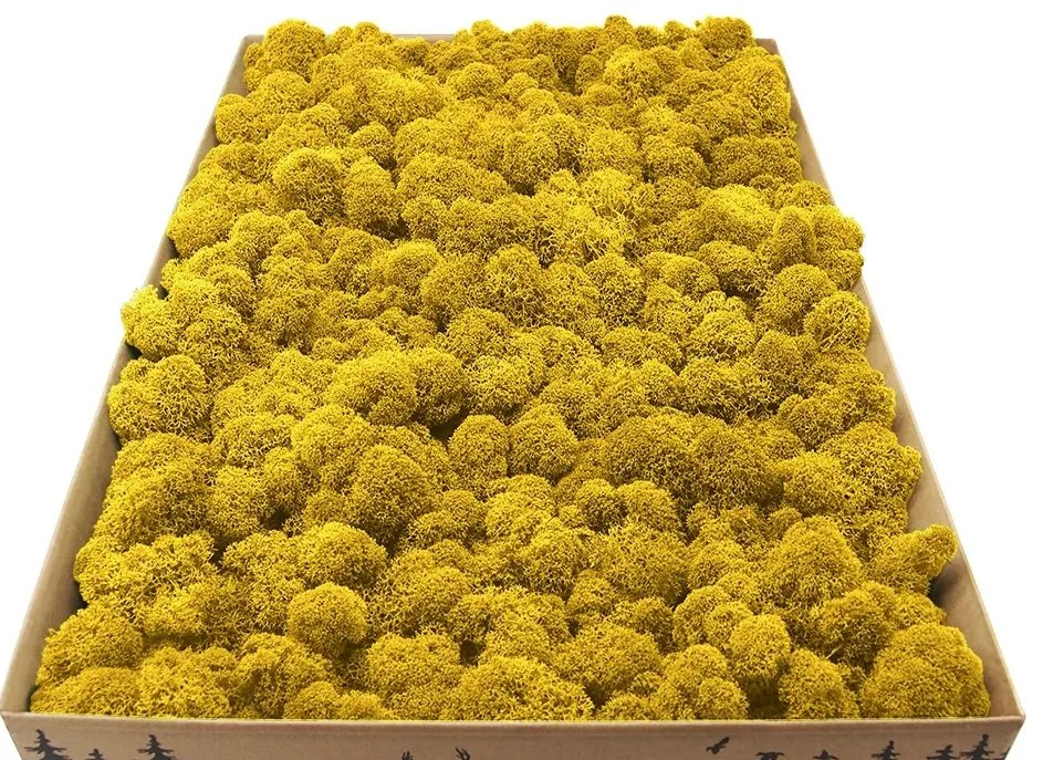 Stabilizovaný fínsky (sobí) mach 1kg- žltý