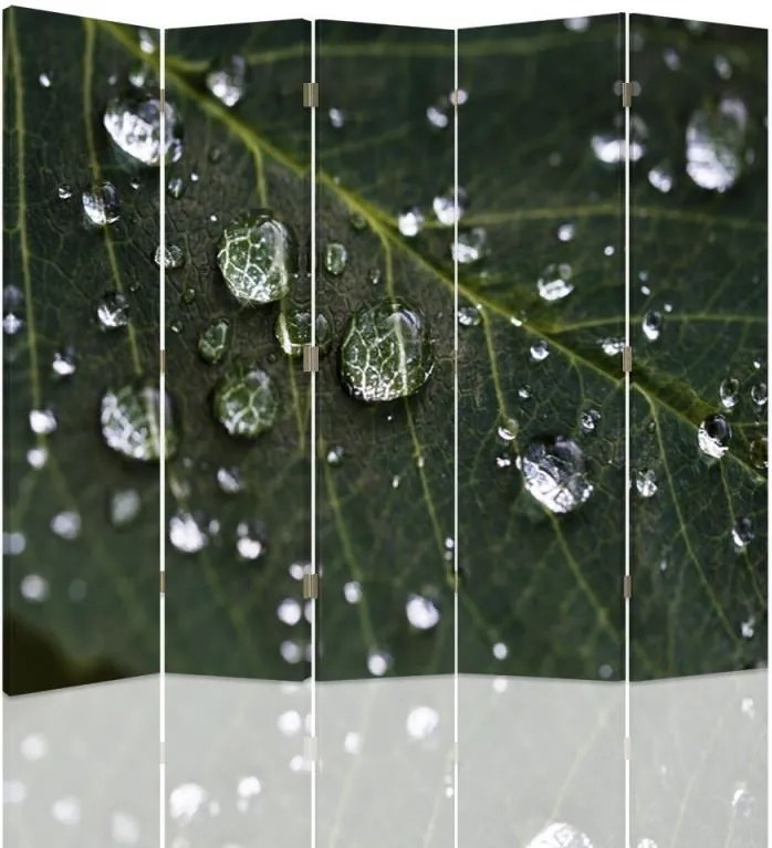 CARO Paraván - Rain Drops On The Leaf | päťdielny | jednostranný 180x150 cm