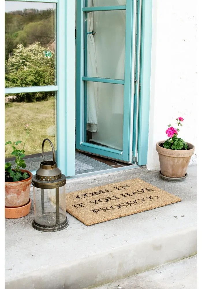 Rohožka z prírodného kokosového vlákna Artsy Doormats Prosecco, 40 x 60 cm
