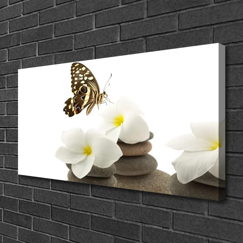 Obraz Canvas Motýľ kvet kamene rastlina 120x60 cm