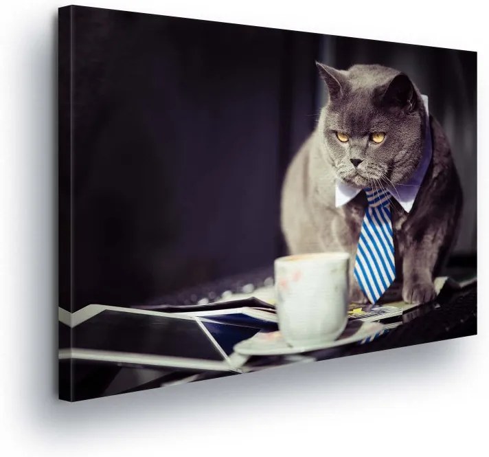 GLIX Obraz na plátne - Elegant Cat 100x75 cm