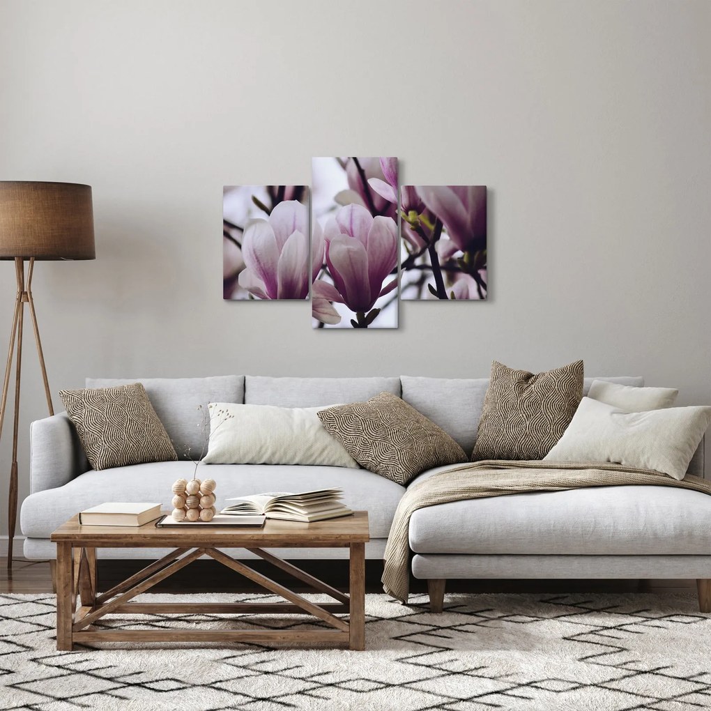 Obraz - Magnolie (90x60 cm)
