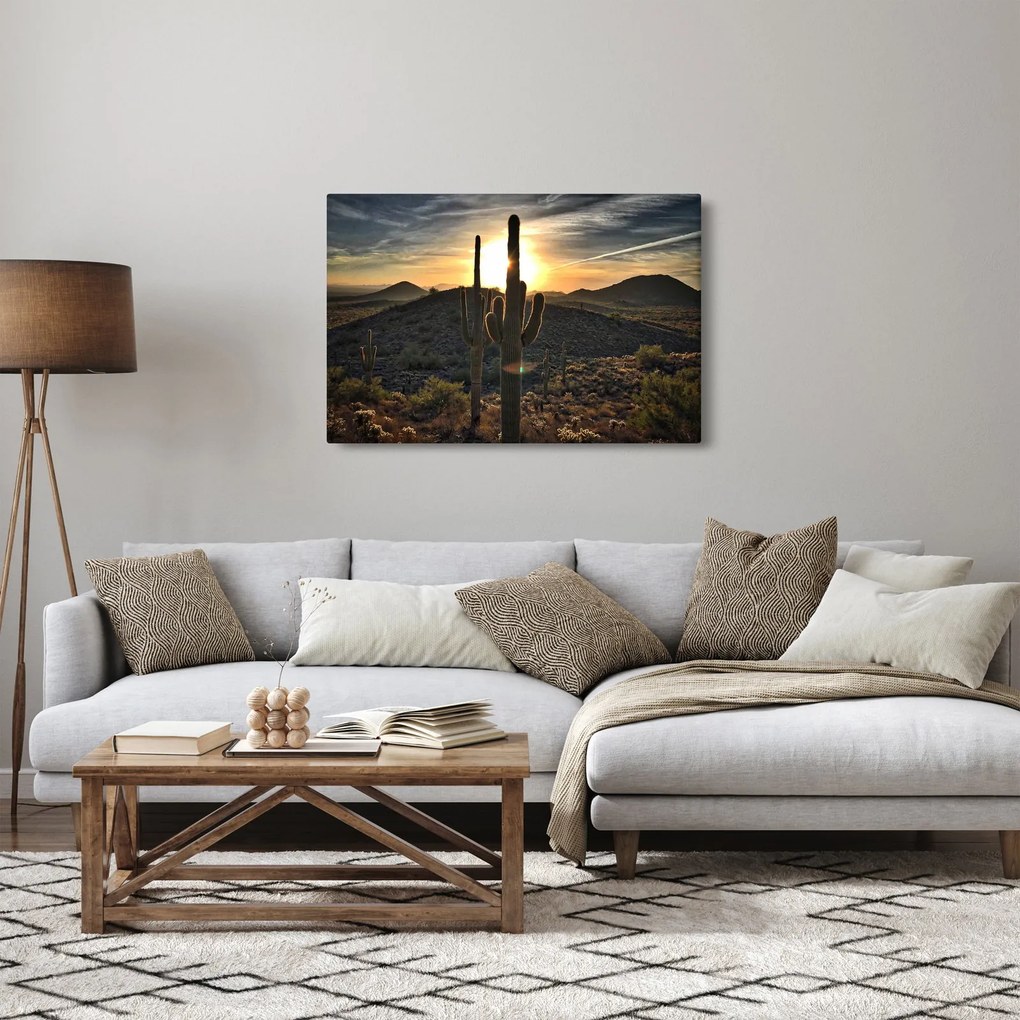Obraz - kaktusy v slnku (90x60 cm)