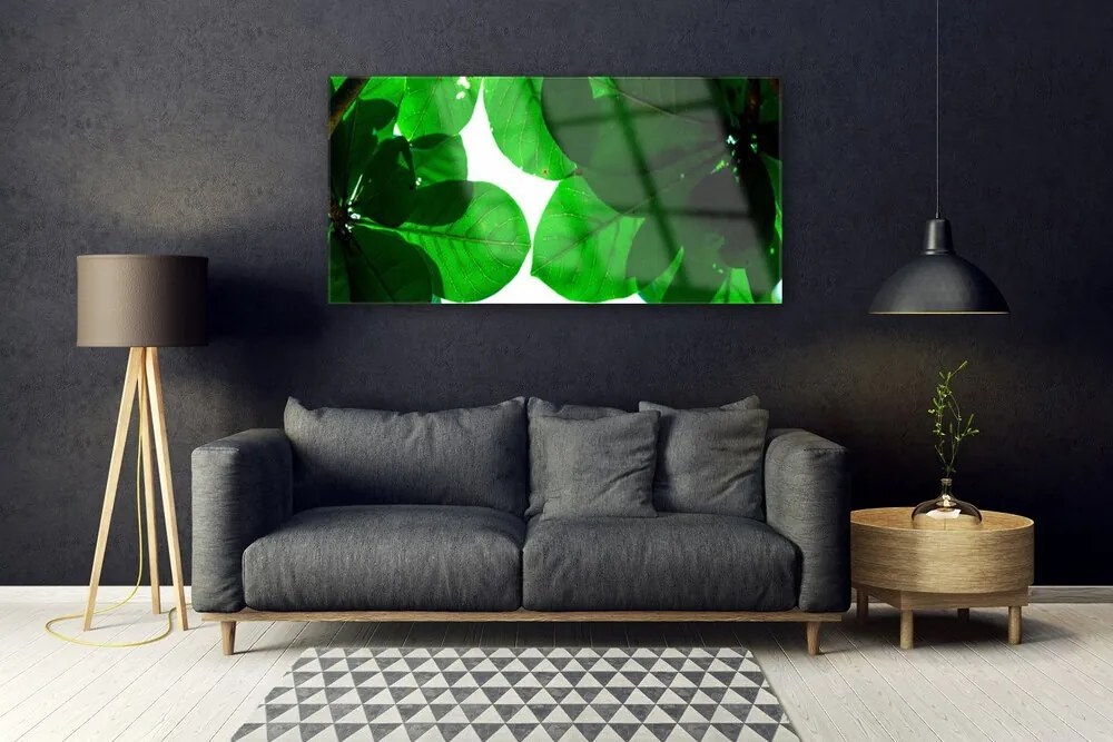 Obraz na akrylátovom skle Listy 120x60 cm