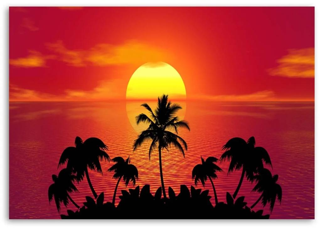 Obraz na plátně Západ slunce a palmy - 120x80 cm