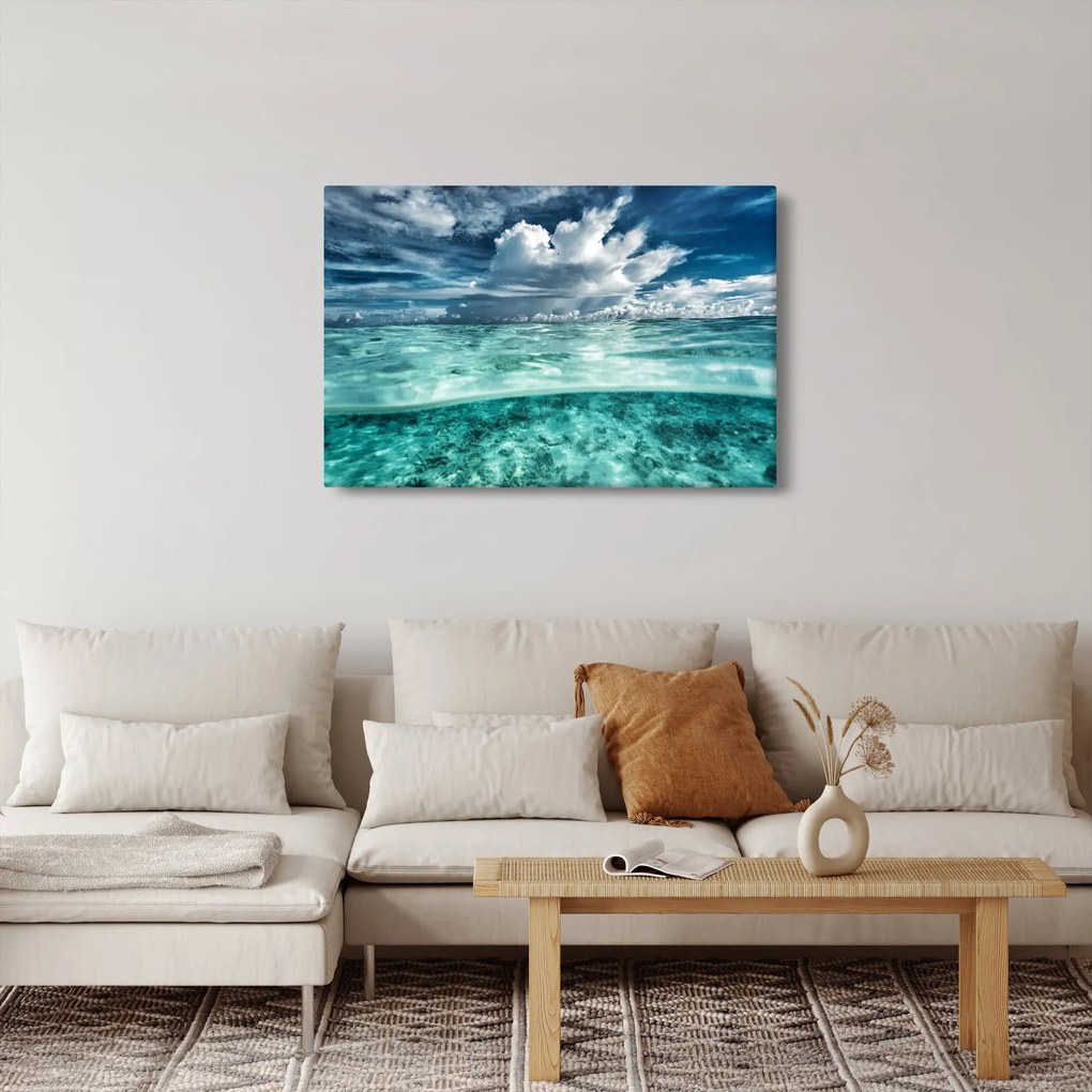 Obraz - Pohľad pod morskú hladinu (90x60 cm)