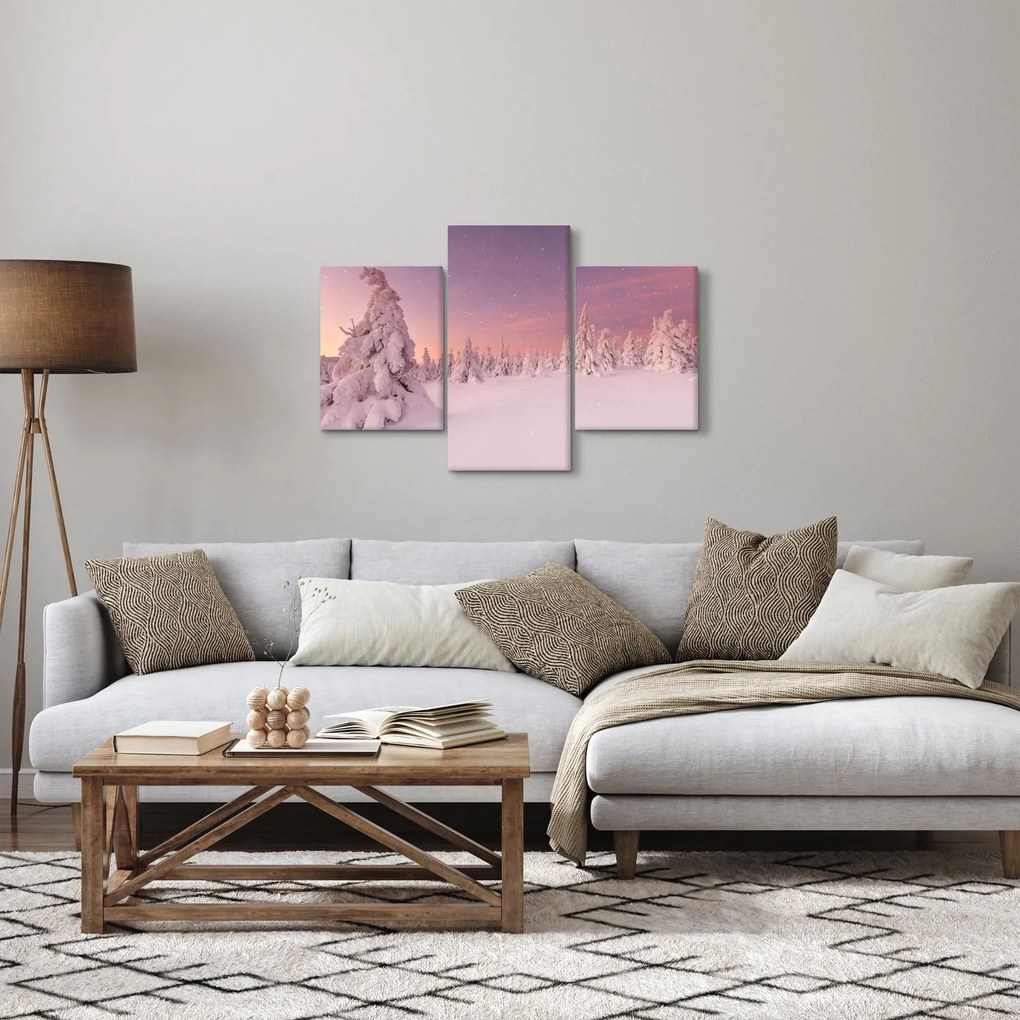 Obraz - Stromy pod snehovou prikrývkou (90x60 cm)