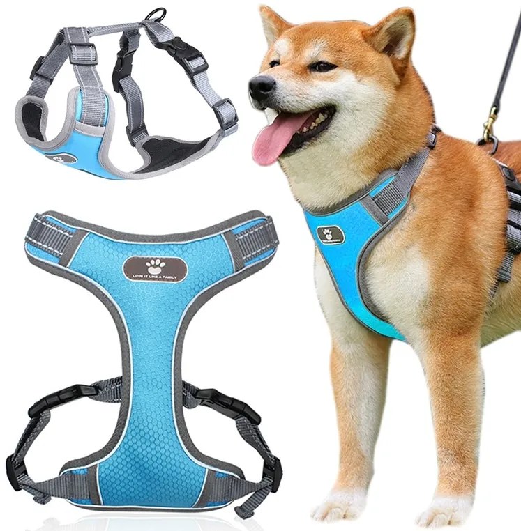 Postroj pre psov Astro L modrý