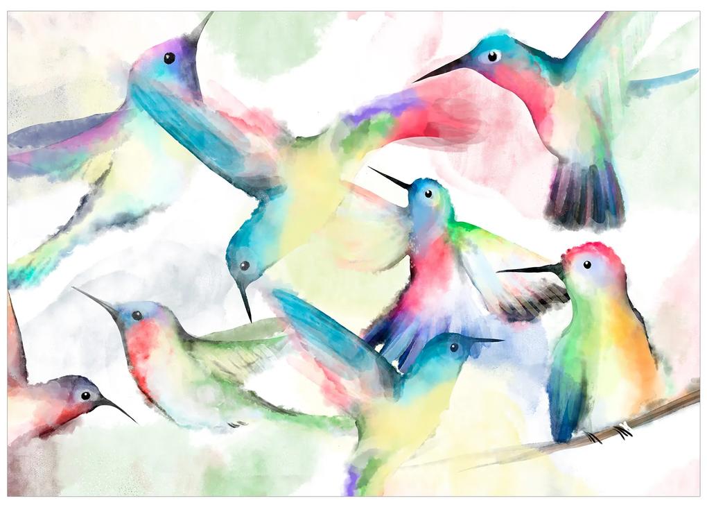 Artgeist Fototapeta - Watercolor Birds Veľkosť: 100x70, Verzia: Standard