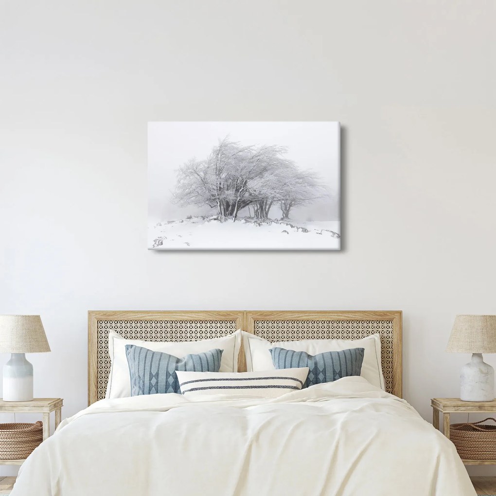 Obraz - Biela zima (90x60 cm)