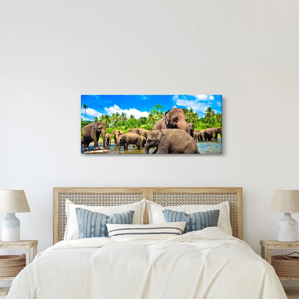 Obraz - Slony, Sri Lanka (120x50 cm)