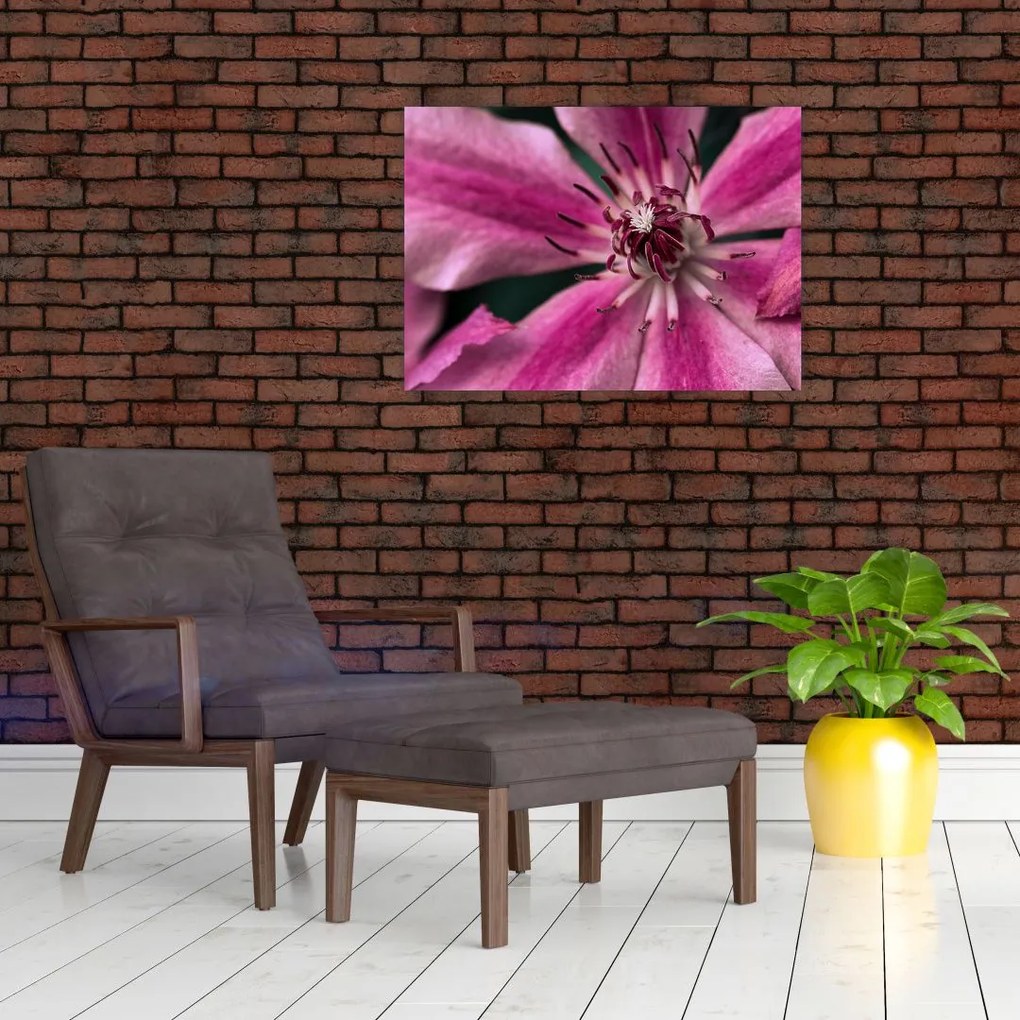 Sklenený obraz ružového kvetu plamienku (70x50 cm)