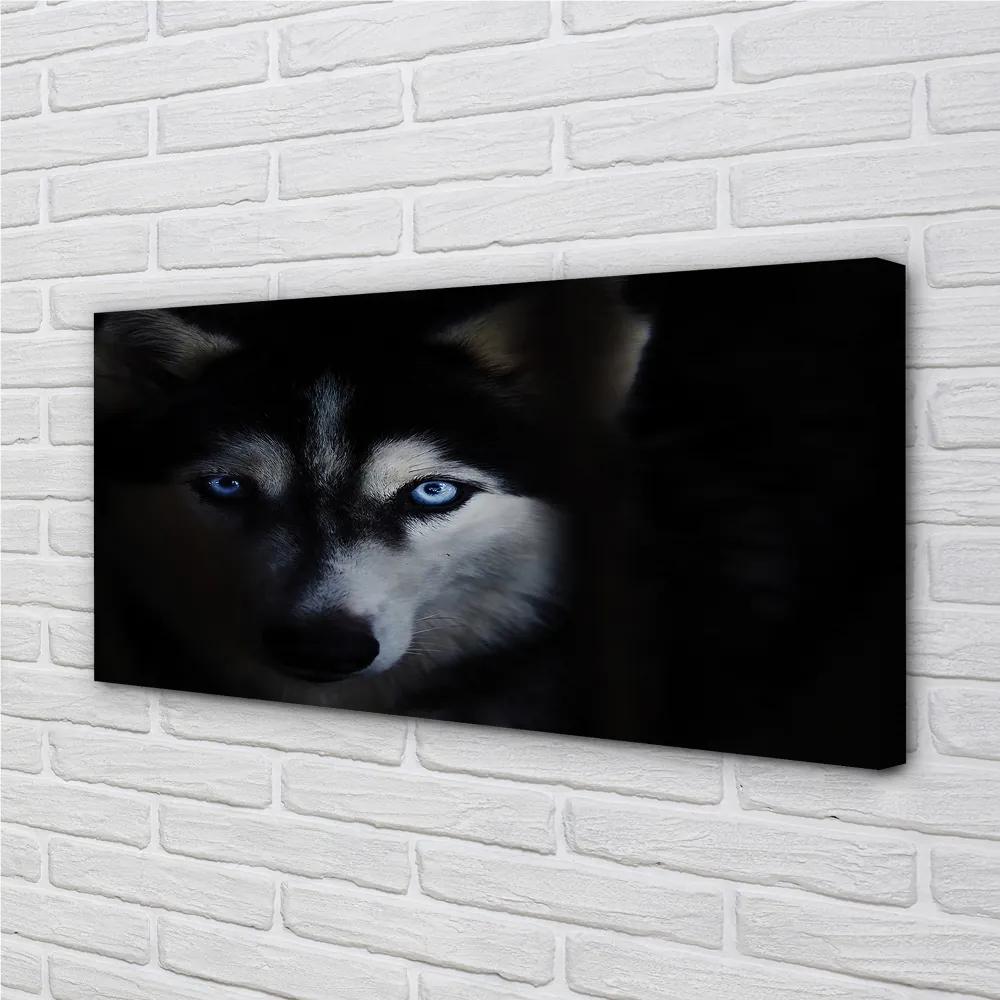 Obraz na plátne wolf Eyes 125x50 cm