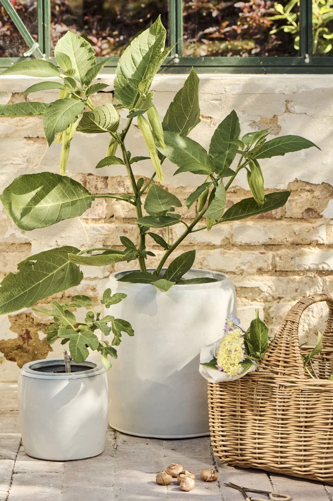 Ib Laursen Keramický obal na květiny Saigon White L