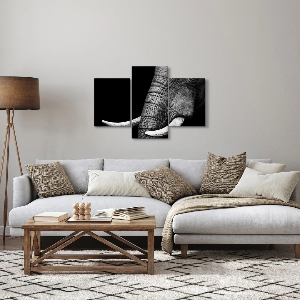 Obraz - Slonie kly (90x60 cm)