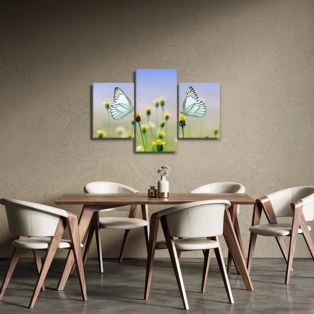 Obraz motýľov na kvetine (90x60 cm)