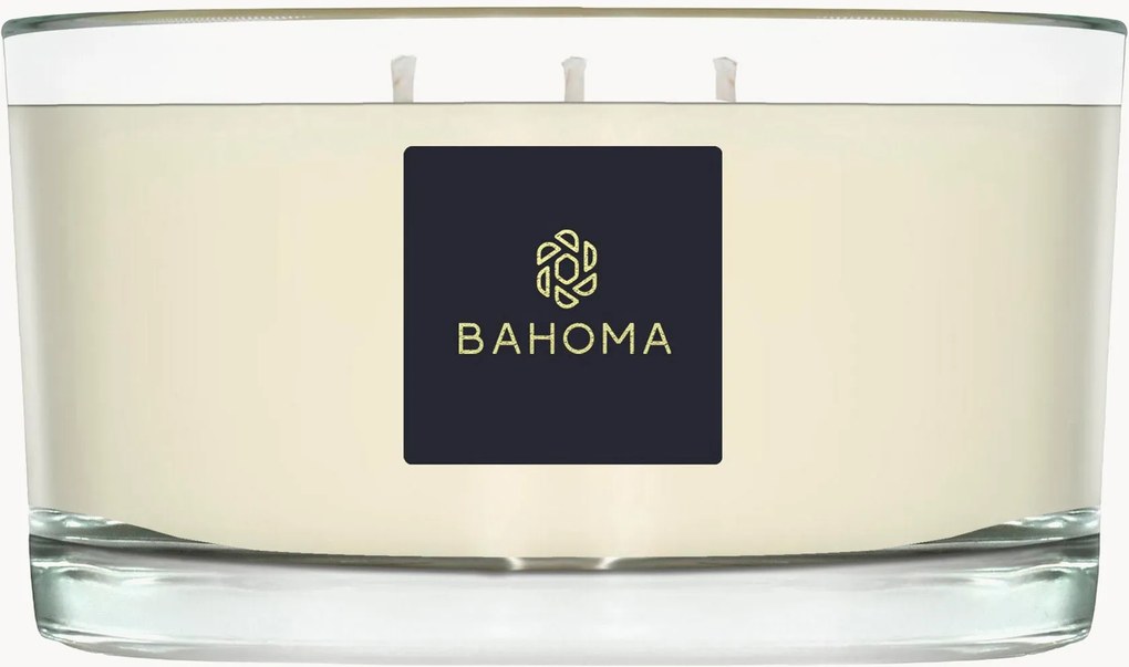 Ručne vyrobená vonná sviečka's 3 knôtmi Alchemy (Ambre, Sauge)