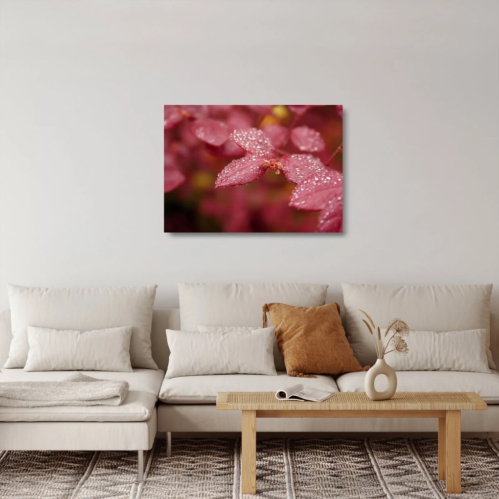 Sklenený obraz - Makro snímka lístka (70x50 cm)