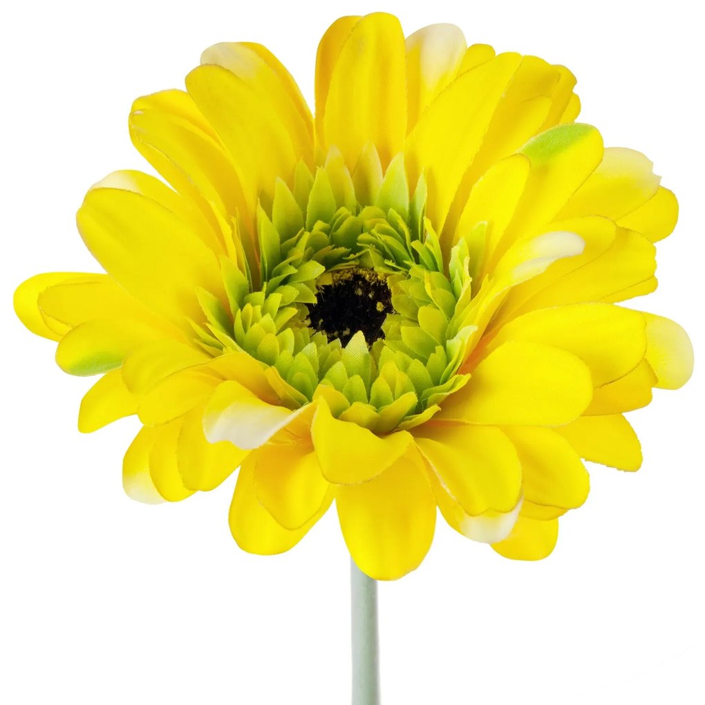Dekoračný kvet žltá