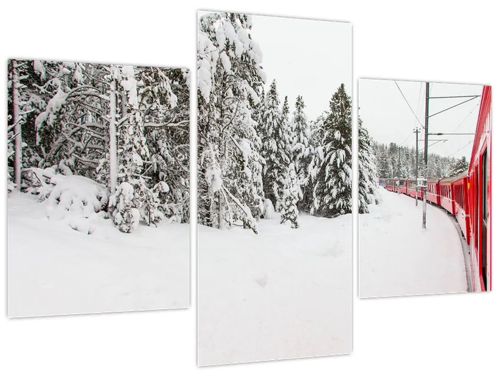 Obraz - Vlak v zasneženej krajine (90x60 cm)