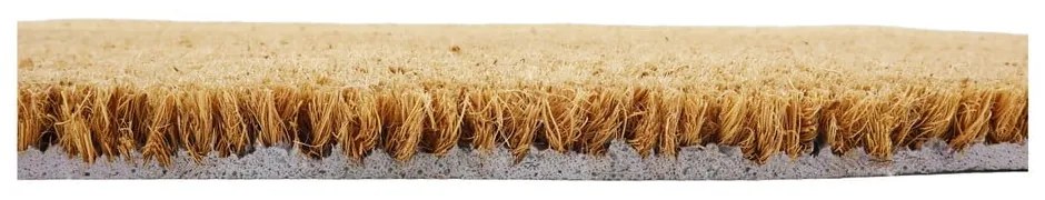 Rohožka z kokosového vlákna 40x60 cm Midnight Garden x Celia Battaini – Artsy Doormats