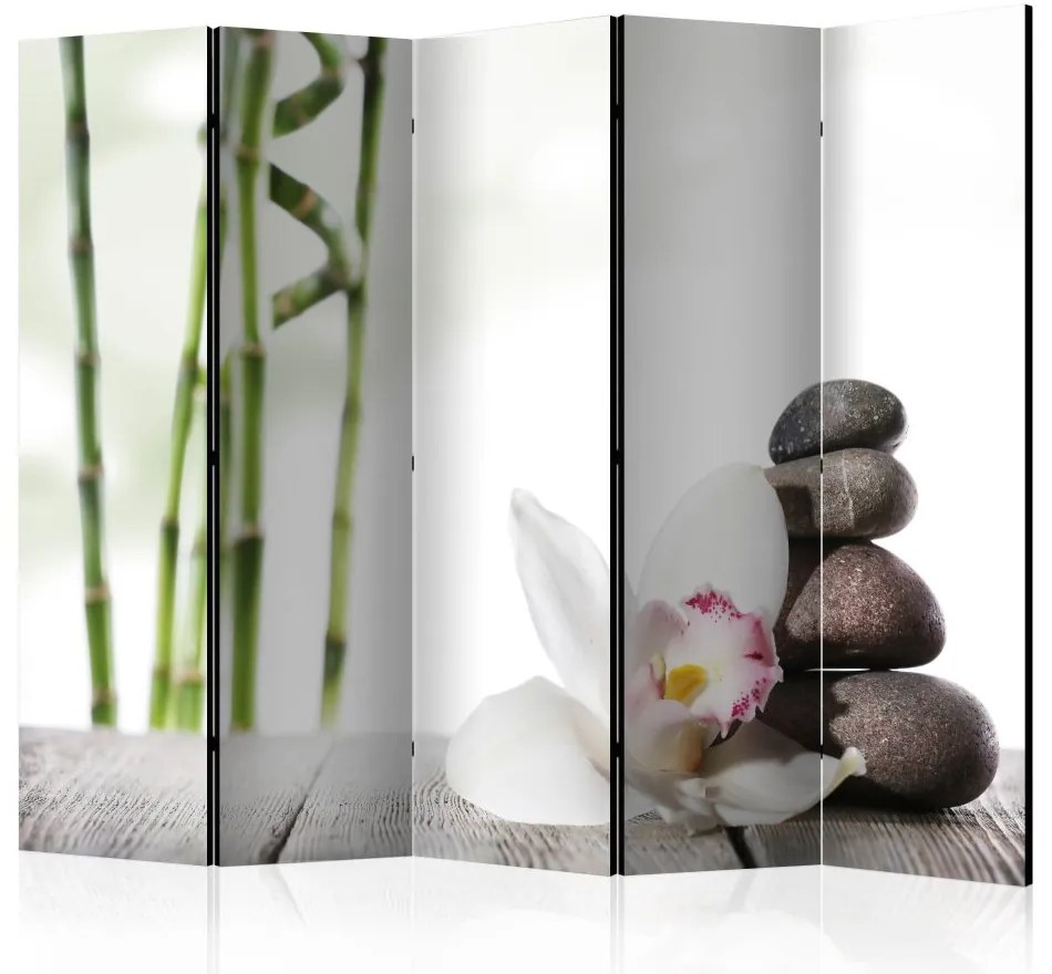 Artgeist Paraván - Harmony II [Room Dividers]