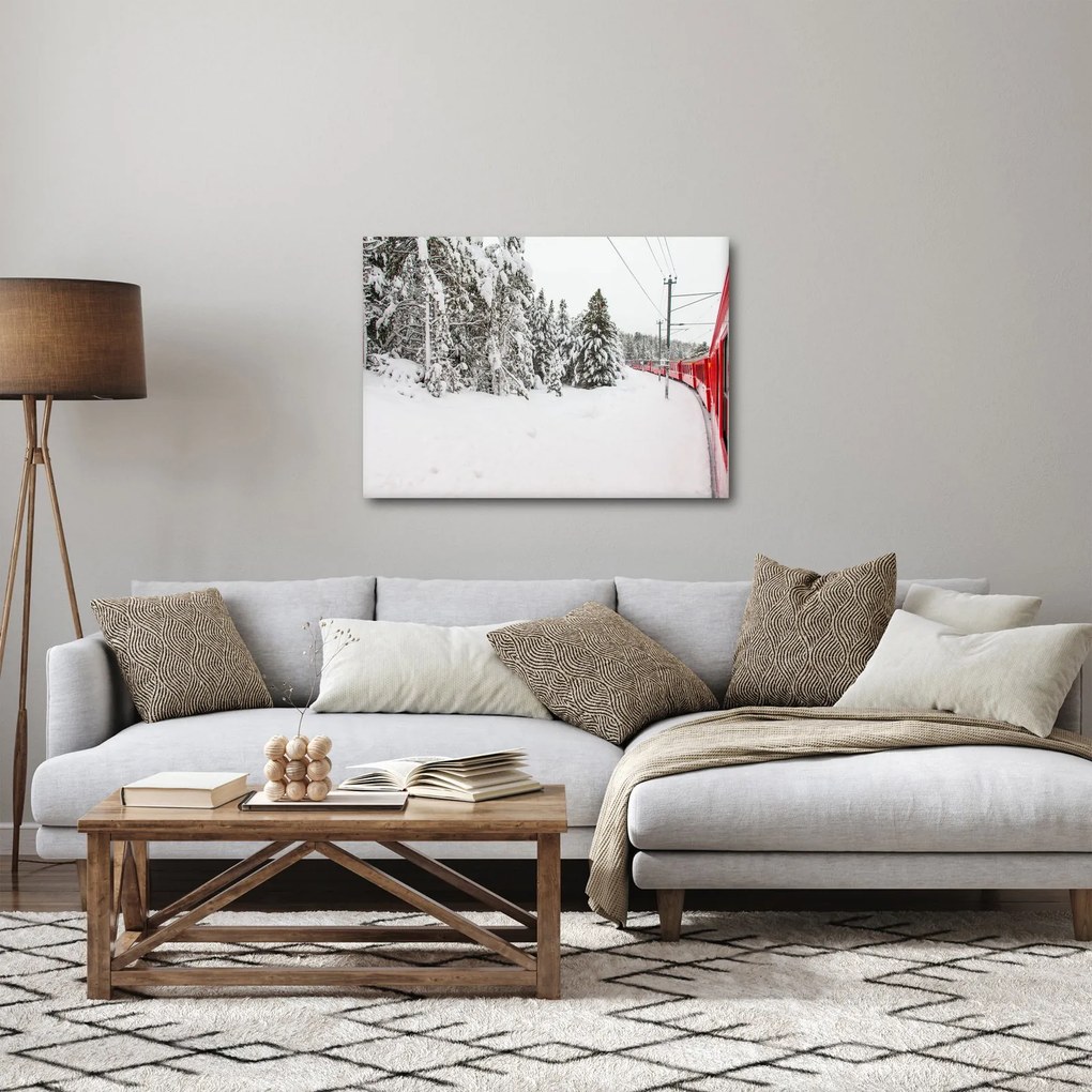 Obraz - Vlak v zasneženej krajine (70x50 cm)