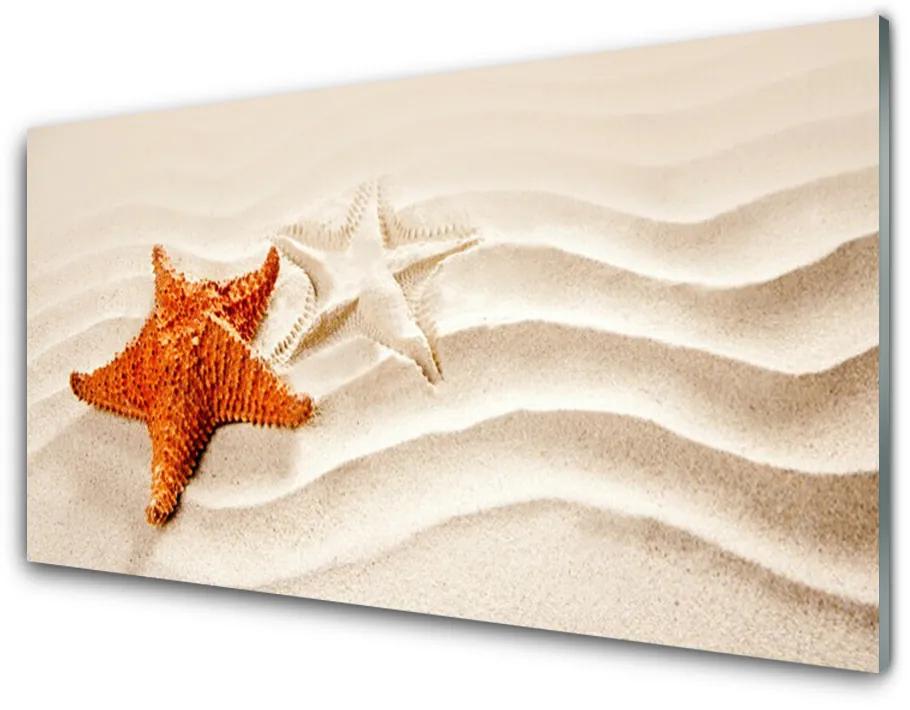 Skleneny obraz Hviezdice na piesku pláž 125x50 cm