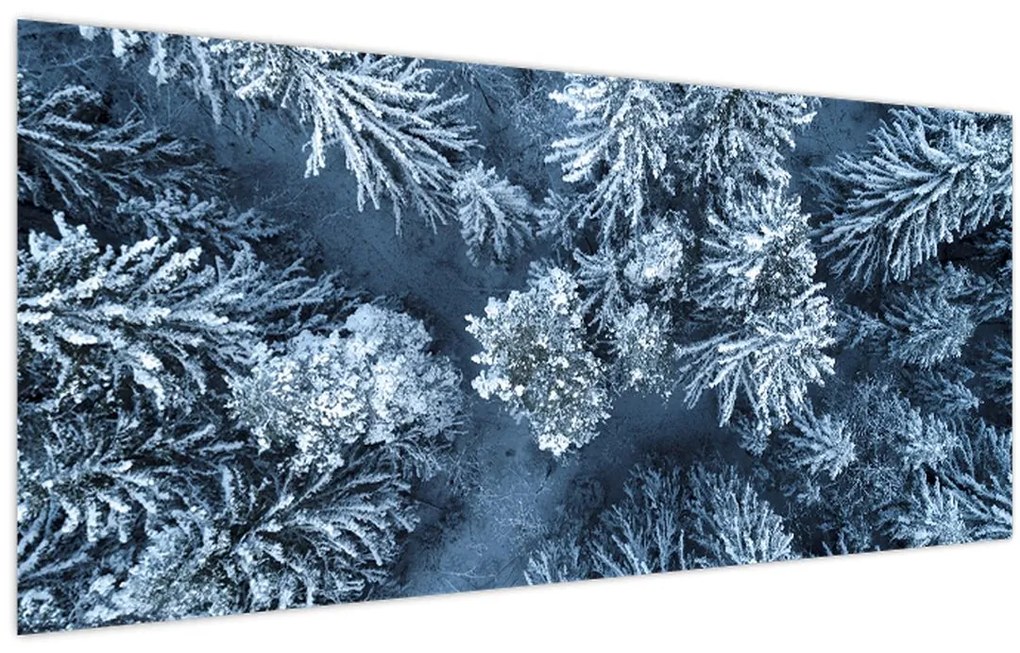 Obraz - Zasnežený les (120x50 cm)