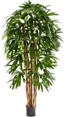 Rhapis palm tree 120 cm