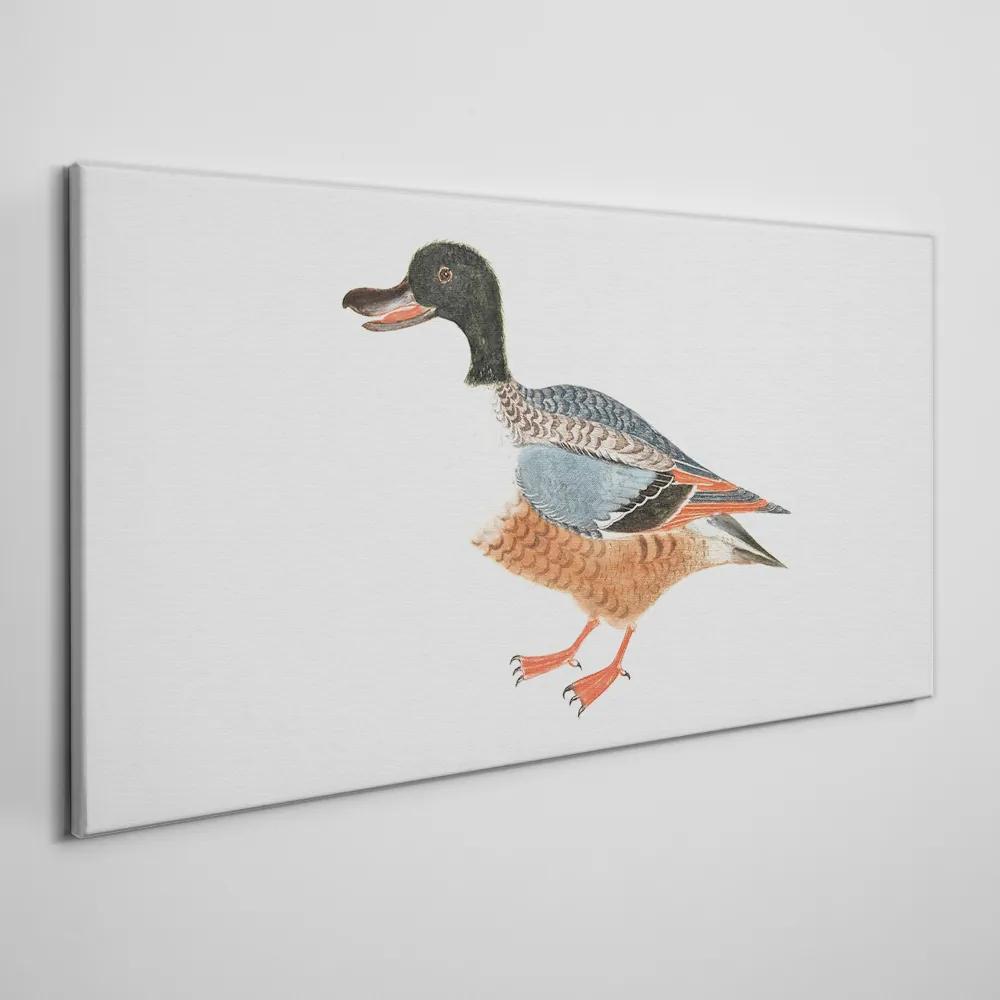 Obraz na plátne Kreslenie zvierat kačica pera