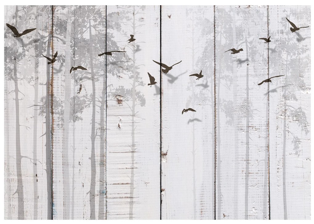 Artgeist Fototapeta - Birds on Boards Veľkosť: 100x70, Verzia: Standard