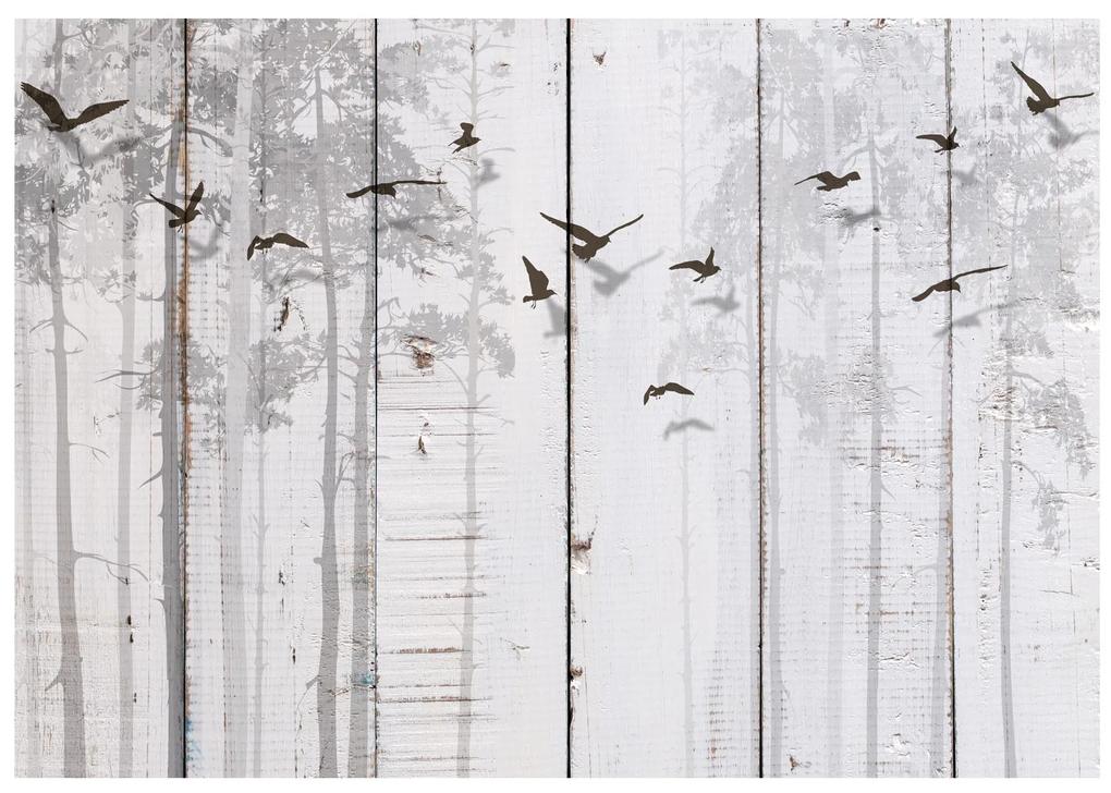 Artgeist Fototapeta - Birds on Boards Veľkosť: 250x175, Verzia: Premium