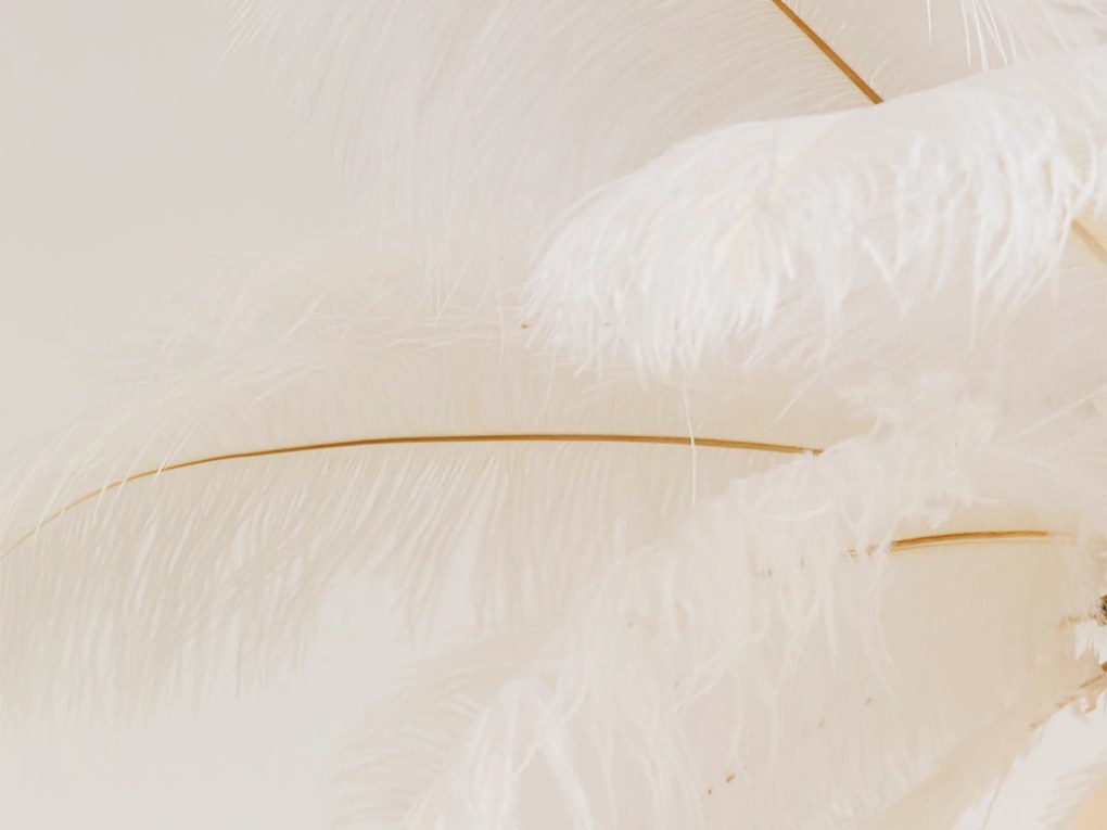 Feather Palm závesná lampa Ø87 cm biela
