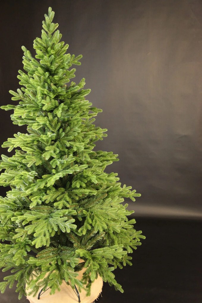 Smrek Tirolský 3D- 200cm