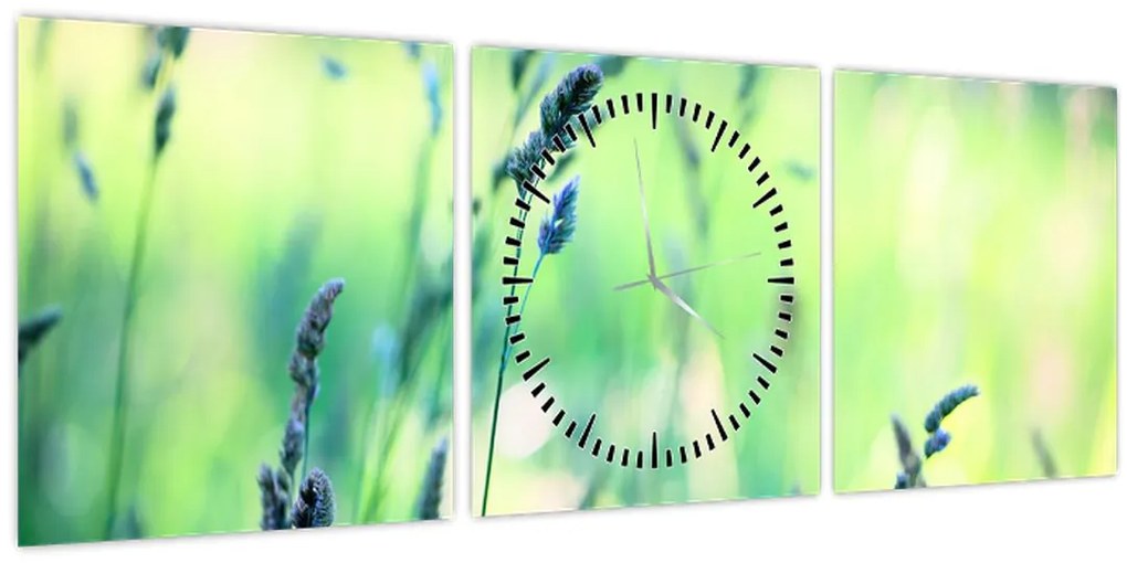 Obraz - Detail lúky (s hodinami) (90x30 cm)