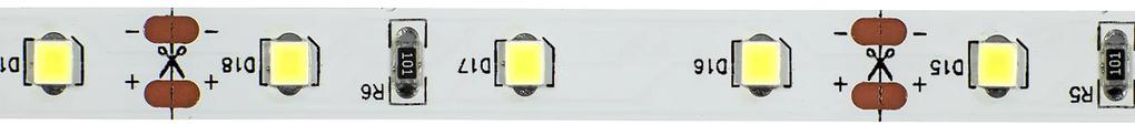 ECOLIGHT LED pásik - SMD 2835 - 5m - 60LED/m - 4,8 W/m - IP20 - studená biela
