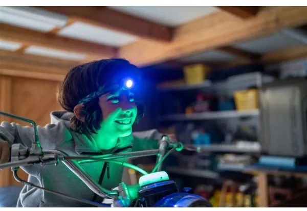 Ledlenser KIDCAMP6 DINO - LED stmievateľná prenosná lampa LED/3xAAA IP44 zelená