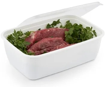 Plastové krabičky do mrazáku, Rotho FREEZE, bílá, 1 x 3,7l (30x20x9)