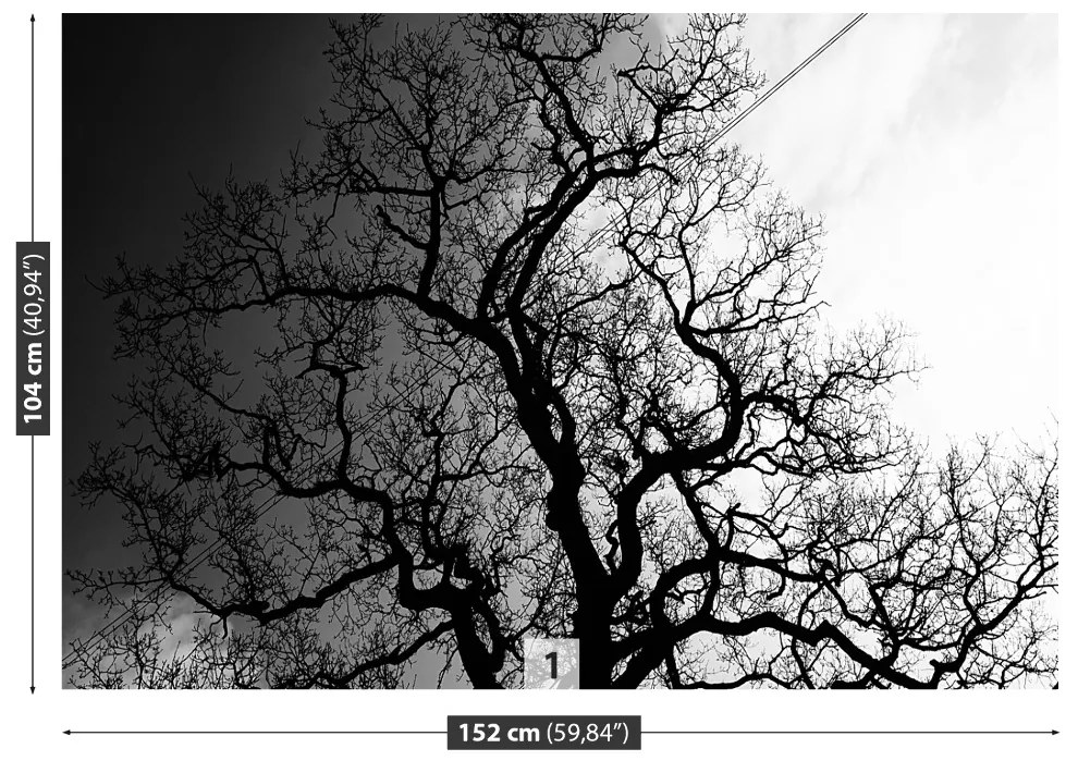 Fototapeta Vliesová Strom 104x70 cm