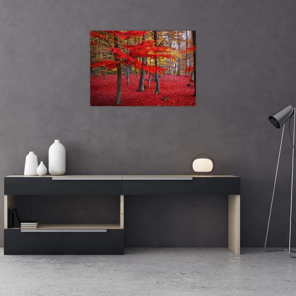 Sklenený obraz - Červený les (70x50 cm)