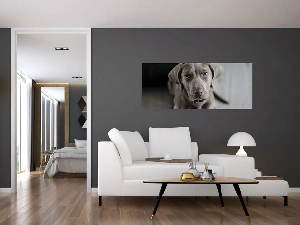 Obraz šteňaťa (120x50 cm)