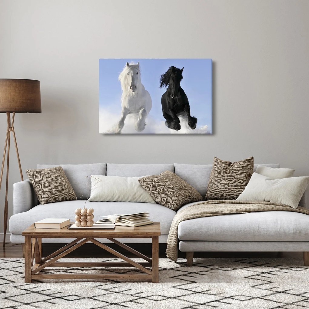 Obraz - Kone v zime (90x60 cm)