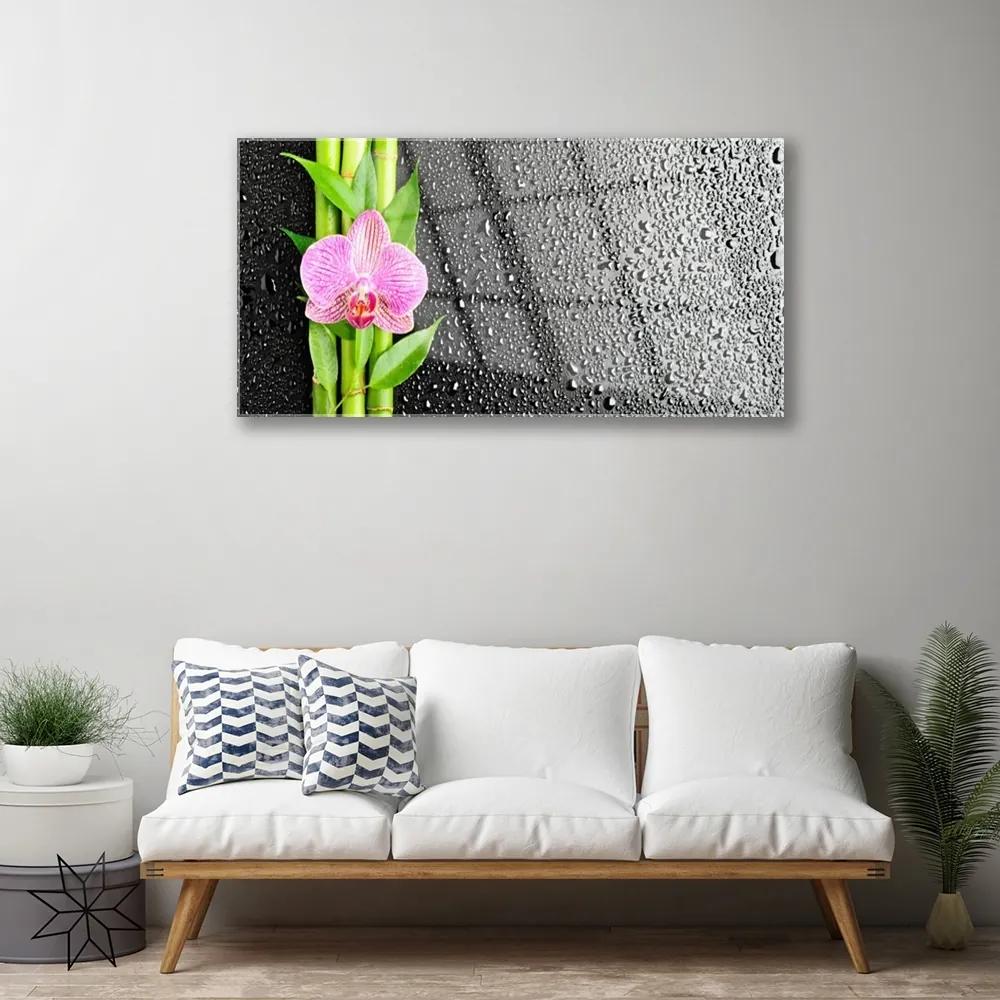 Obraz na akrylátovom skle Bambus stonky kvet rastlina 100x50 cm