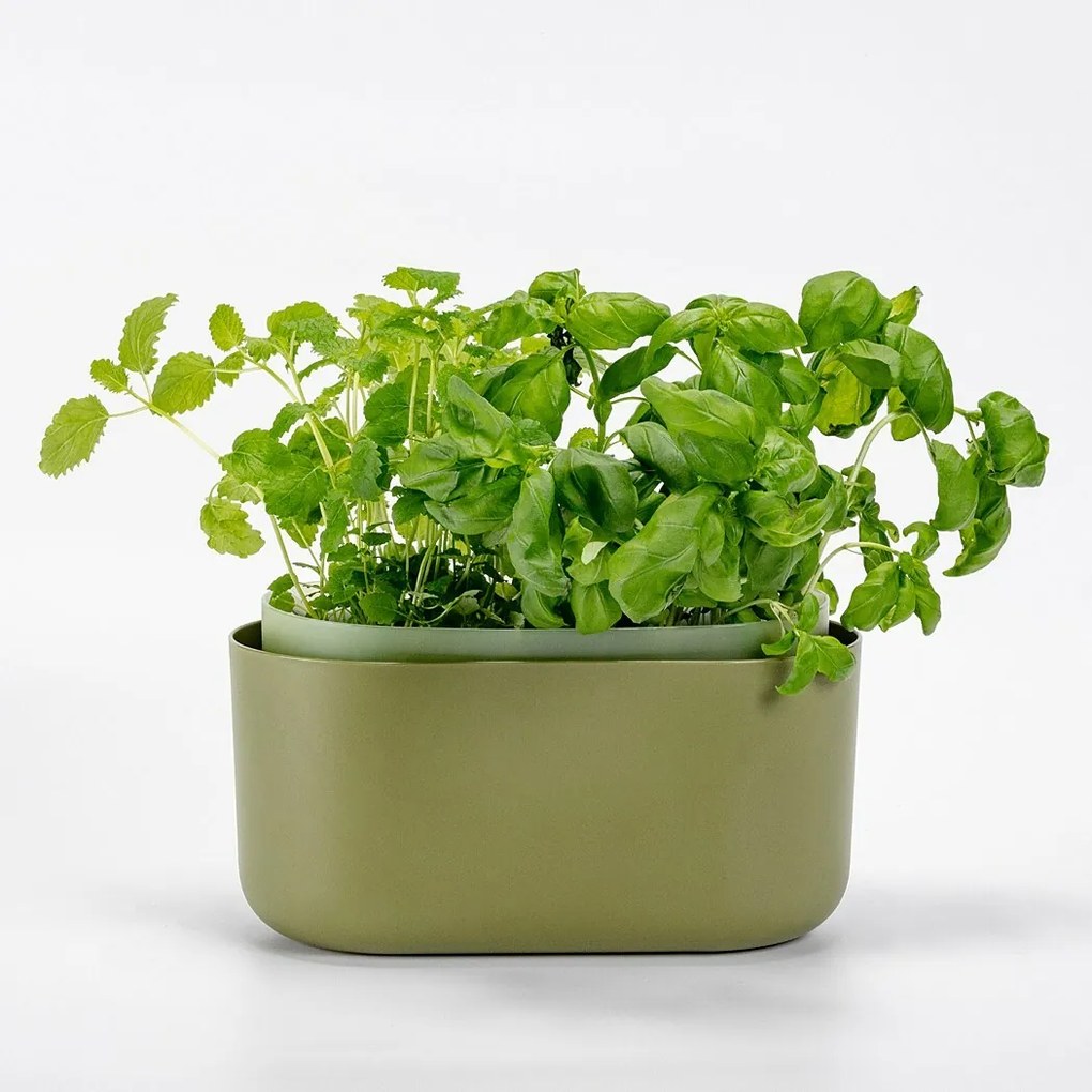 Plastia Samozavlažovací truhlík Tolita zelená, 31 x 16 cm